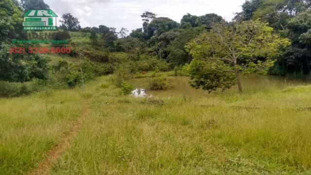 Chácara à venda, 15000 m² por R$ 300.000,00 - Zona Rural - Anápolis/GO - Foto 15