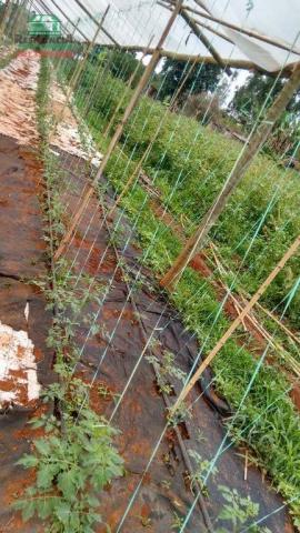 Chácara à venda, 15000 m² por R$ 300.000,00 - Zona Rural - Anápolis/GO - Foto 17