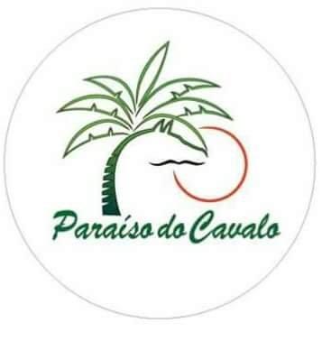 Cursos de equitação e doma - Foto 4