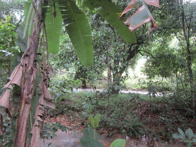 Propriedade de 5.000 m² em Cabeça Quebrada, Guarapari - Foto 17