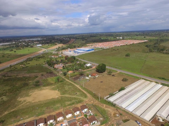 Sitio com 15.000 m2 de área em Conceição do Jacuípe