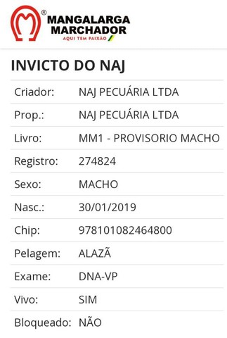 Cavalo MM Registrado no Definitivo 