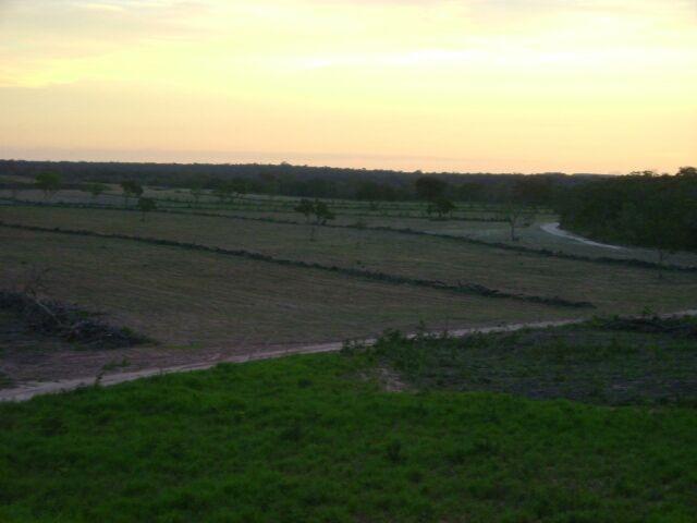 Fazenda em Pedro Afonso - 270 km Distante de Palmas - Foto 4