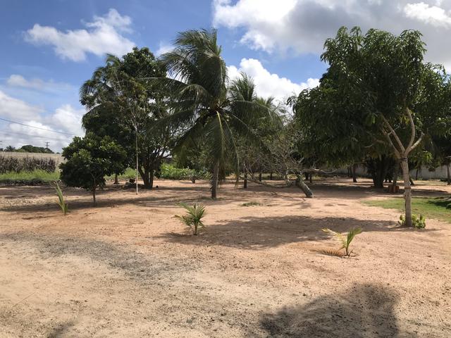 Vendo Área / Terreno na BR 101 Com 10.000m² Próx a Volvo, Baldessar Rondon e Rio Grandense - Foto 13