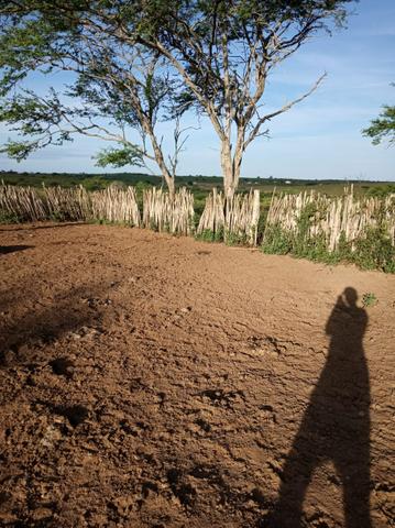 Fazenda Malhada Nova - Foto 3