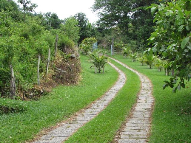 Sítio com 4 alqueires em Sumidouro - Rancho da Alegria - Foto 3