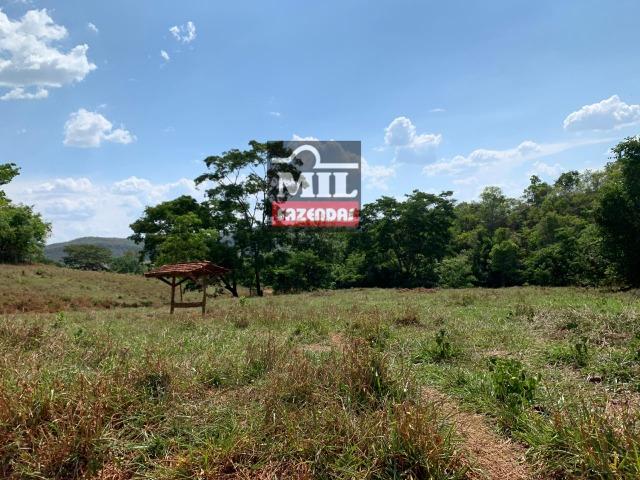 Fazenda 24 Alqueires ( 116.16 hectares )- Santa Cruz \ Cristianópolis-GO - Foto 9