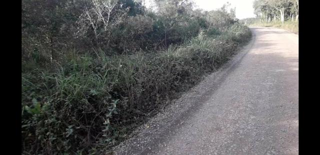Terreno - Foto 2