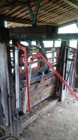 Fazenda - Foto 4