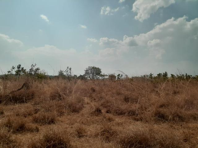 Fazenda venda ou arrendamento lavoura paranatinga - Foto 7