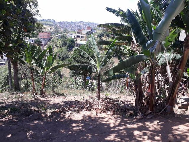 Vende-se terreno 5x30 - Foto 8