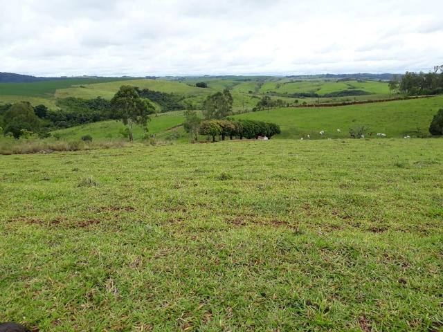 Sitio, 6 alqueires e meio, Siqueira Campos-PR - Foto 3