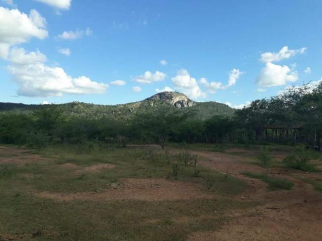 Fazenda para venda em santa cruz do capibaribe, centro - Foto 6