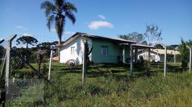 Chácara rural à venda, Campo Largo da Roseira, São José dos Pinhais. - Foto 4
