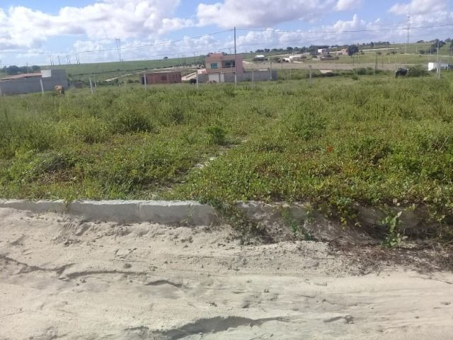 Terreno 10m X 20m Residencial São Matheus - Garanhuns-PE - Foto 3