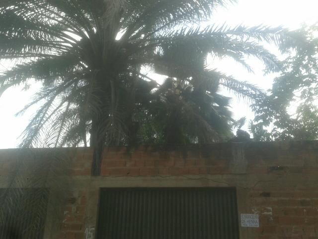 Casa perto do centro com quintal