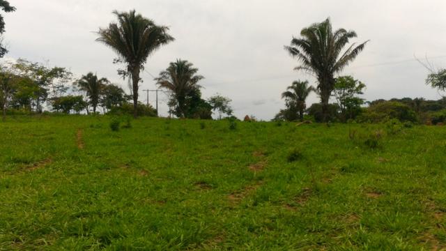 Chácara 5 Alqueires Rio Areia Córrego Nascente Corumbá de Goiás - Foto 14