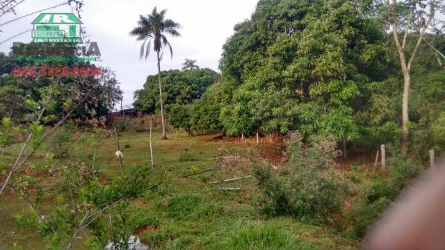 Chácara à venda, 15000 m² por R$ 300.000,00 - Zona Rural - Anápolis/GO - Foto 14