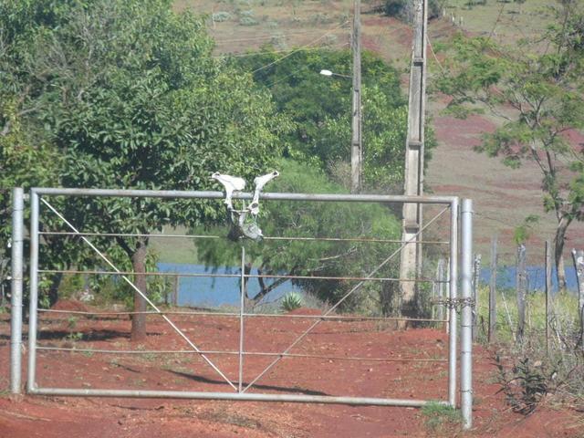 Rancho na represa de nova ponte - Foto 13