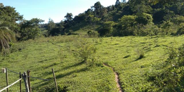 Fazenda - Foto 19