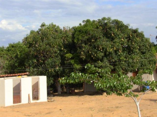 Sítio na região de Três Marias Com 50.000 m² aproximadamente 300 m² de área construída. - Foto 3