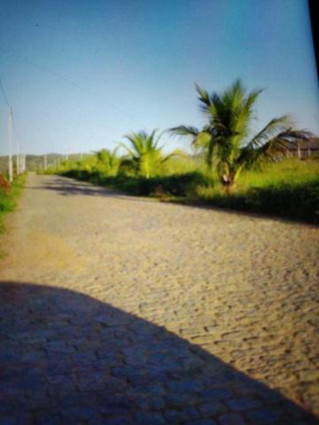 Ótimo terreno a venda - Foto 3