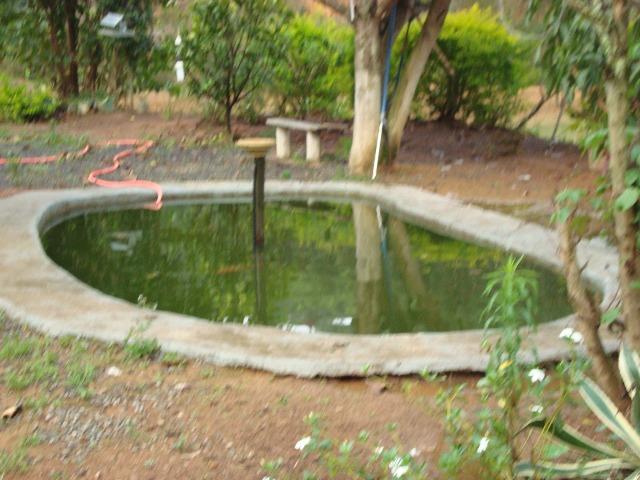 Sitio paraju 1alqueires - Foto 3