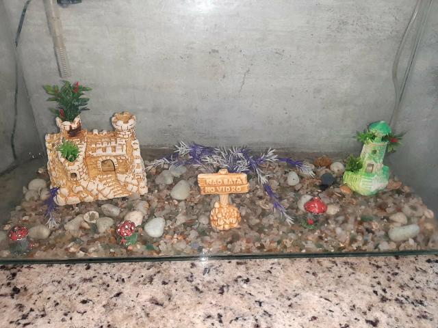 Vendo aquário - Foto 3