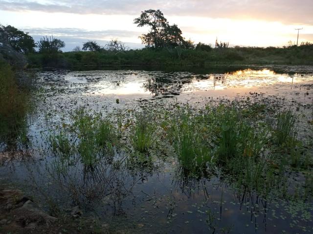 Fazenda Malhada Nova - Foto 2