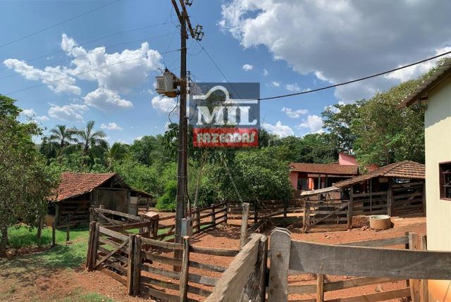 Fazenda 24 Alqueires ( 116.16 hectares )- Santa Cruz \ Cristianópolis-GO - Foto 4