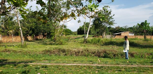Vendo Terreno em Mosqueiro - Foto 3