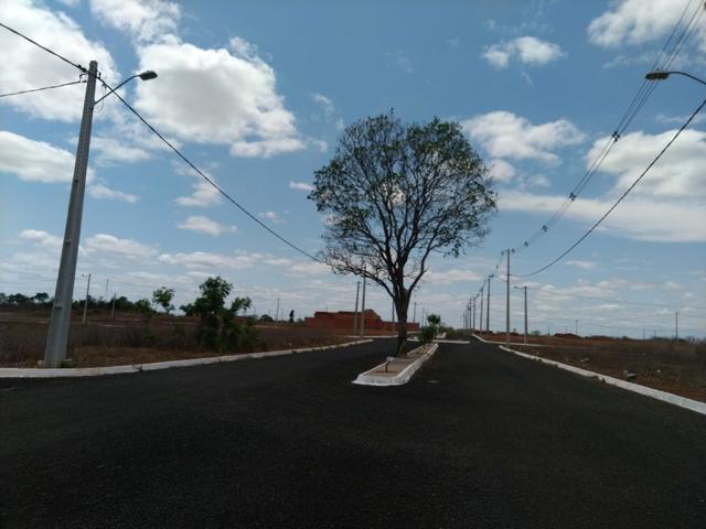 Lotes à venda - Foto 3