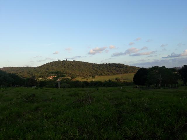 Aluguel de pasto