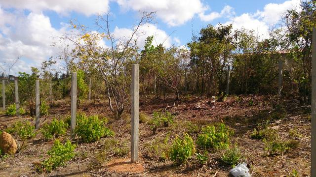 Lote de 200m² em Tibáu do Sul (Pipa) perto da praia - Foto 2