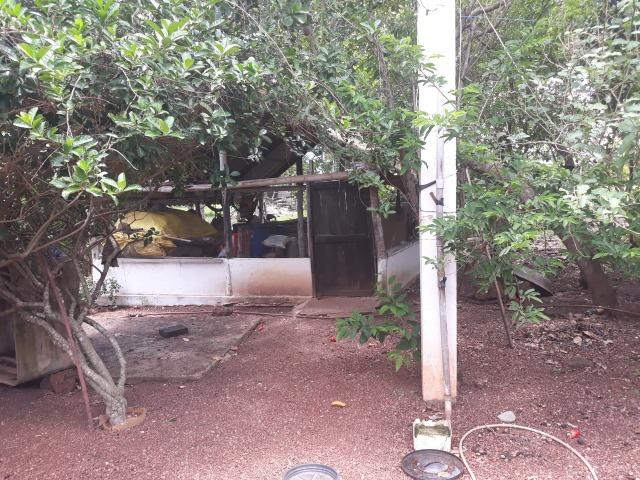 Vendo - Troco Chácara 12 Hectares - Foto 9