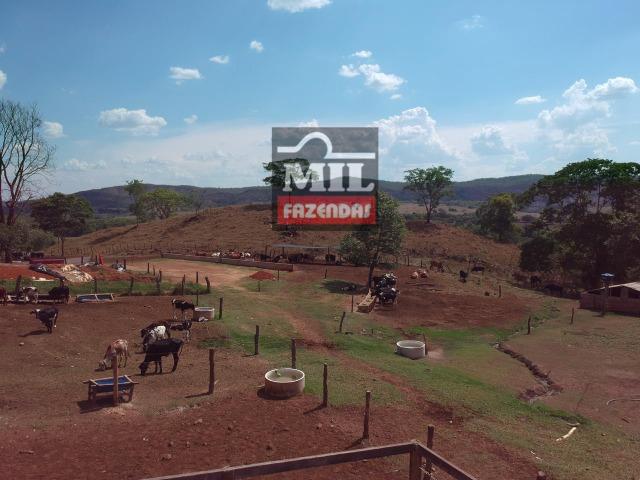 Fazenda 24 Alqueires ( 116.16 hectares )- Santa Cruz \ Cristianópolis-GO - Foto 7
