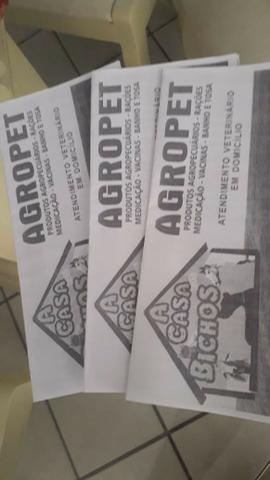 Filhote de Pastor Alemão - Foto 4