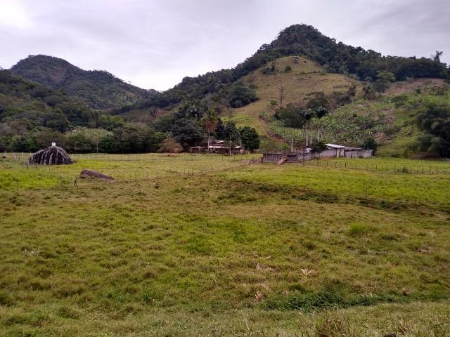 Sítio Cariacica 8alqueires - Foto 4