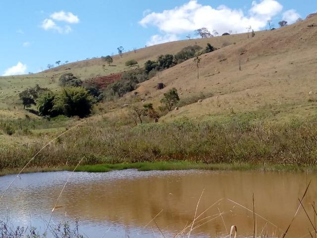 Área Guara x Cunha - Foto 15