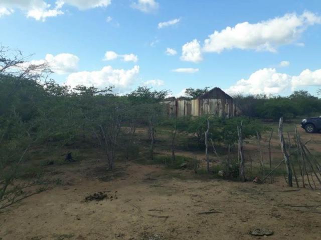 Fazenda para venda em santa cruz do capibaribe, centro - Foto 4