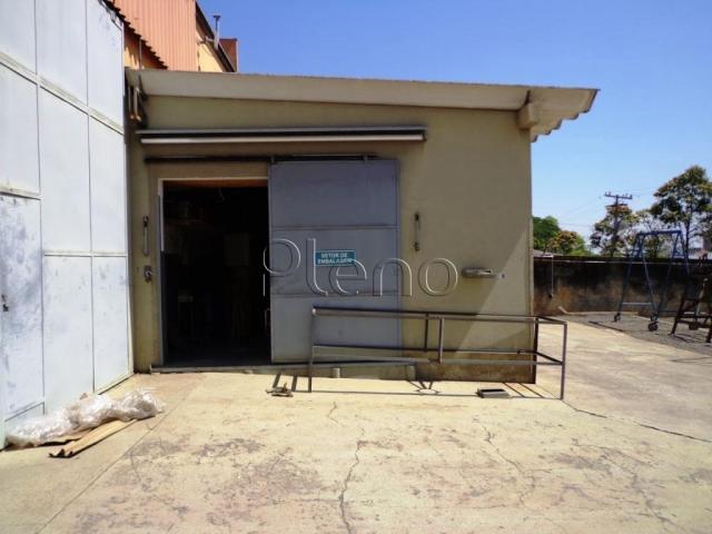 Galpão/depósito/armazém à venda em Jardim do lago, Campinas cod:BA015264 - Foto 8