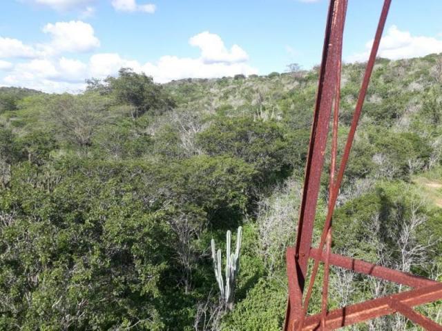 Fazenda para venda em santa cruz do capibaribe, centro - Foto 14