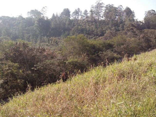 Lote Mosaico da Serra - Foto 2