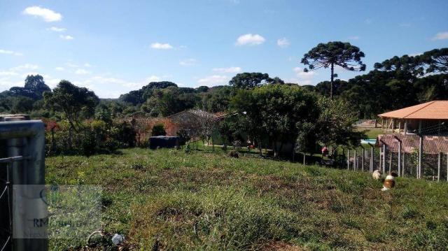 Chácara rural à venda, Campo Largo da Roseira, São José dos Pinhais. - Foto 13