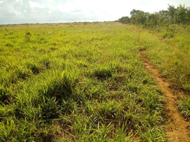 Vendo uma fazenda em rosário oeste - Foto 9