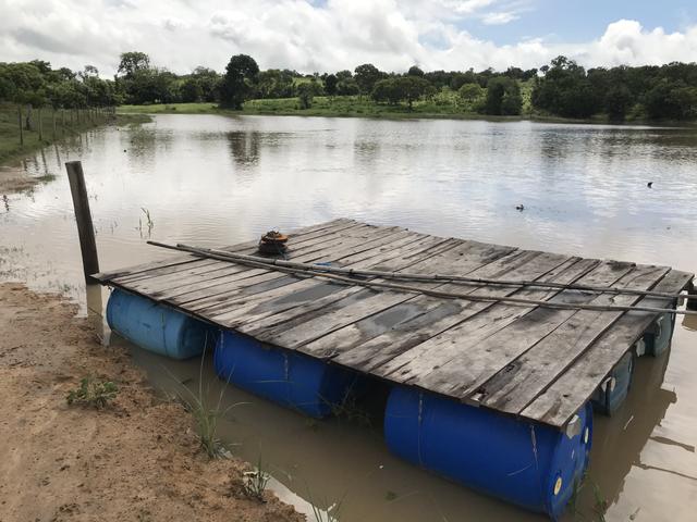 VENDO SÍTIO 22,6 Alq. próximo de Itapirapuã e Águas de São João- Goiás R$2Milhões - Foto 3
