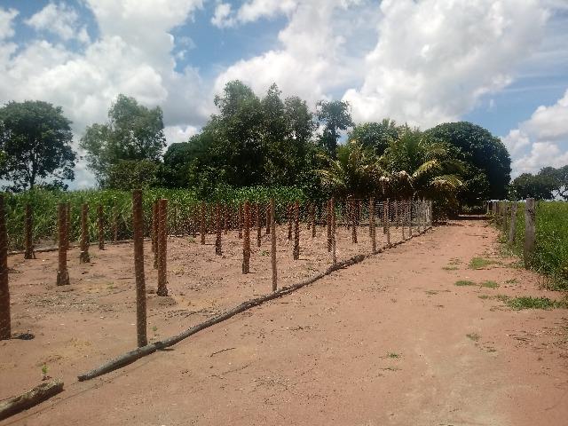 Chacara - Foto 7
