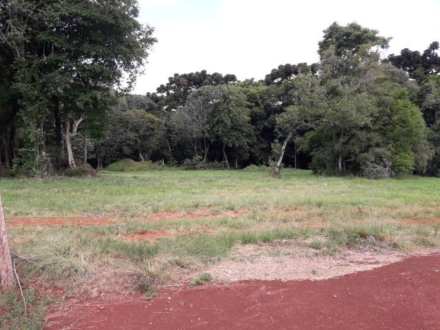 Terreno BR 386 Carazinho - Foto 3