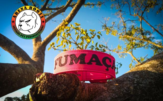 Coleira personalizada cachorros médio e grande porte - Foto 2