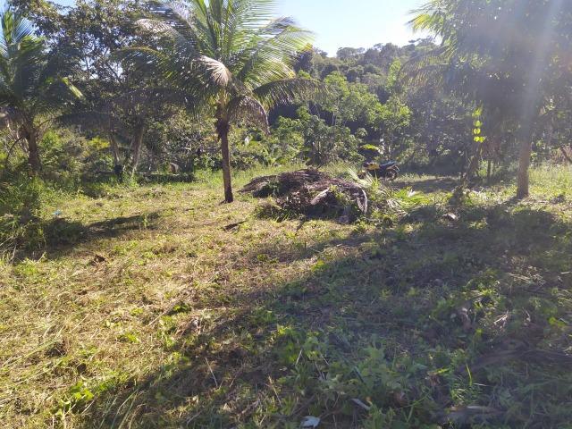 Vendo ou troco terreno por carro do meu interesse. Em Itacaré-ba km 6 - Foto 2